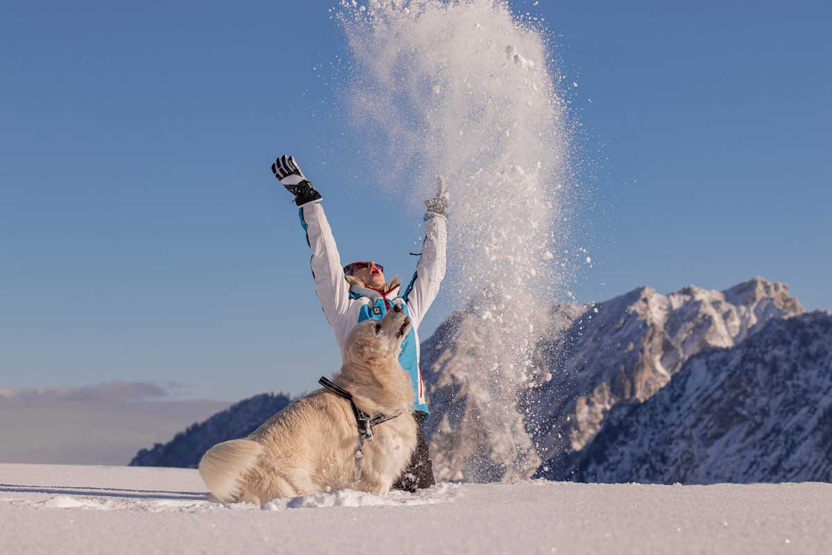 Winterausflug mit Hund